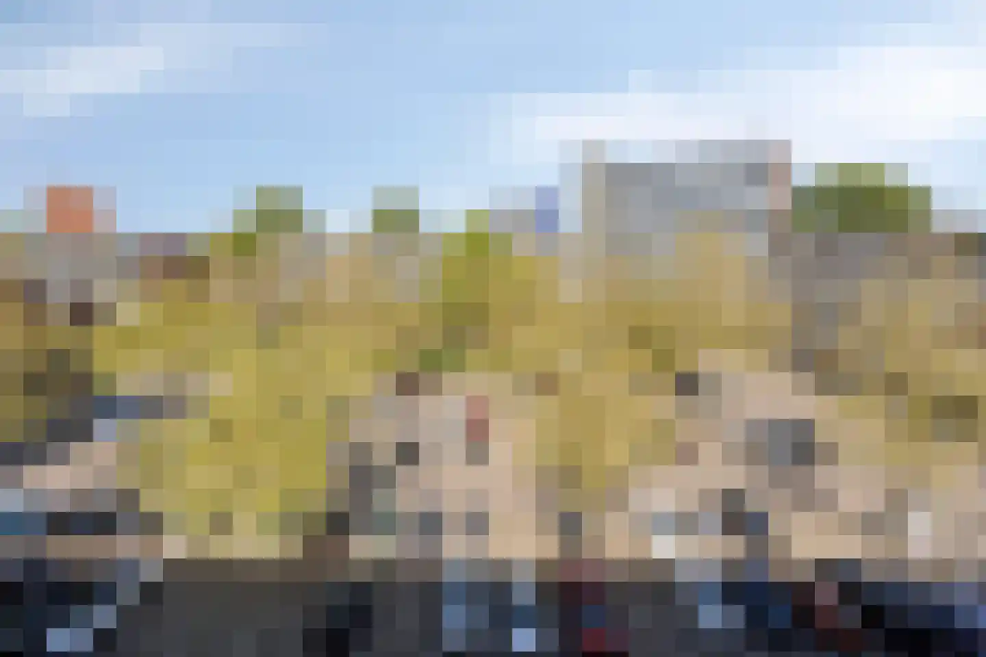 Zuiderkruis 114 Veenendaal thumbnail 24