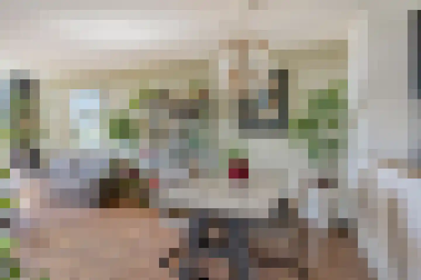 Zuiderkruis 114 Veenendaal thumbnail 5