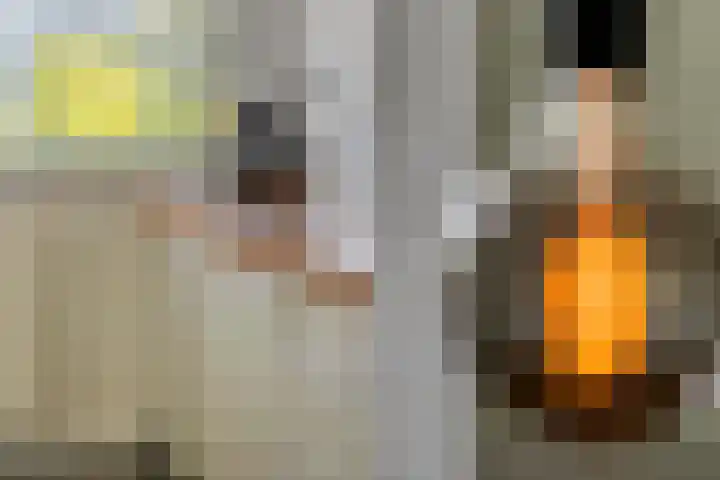 Zuiderkruis 124 Veenendaal thumbnail 10