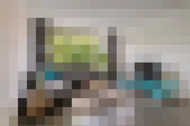 Zuiderkruis 124 Veenendaal thumbnail 12