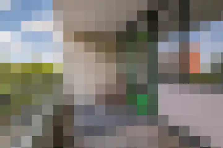 Zuiderkruis 124 Veenendaal thumbnail 14