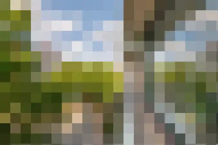 Zuiderkruis 124 Veenendaal thumbnail 15