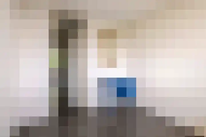 Zuiderkruis 124 Veenendaal thumbnail 24