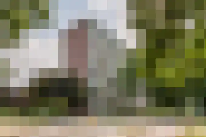 Zuiderkruis 124 Veenendaal thumbnail 29