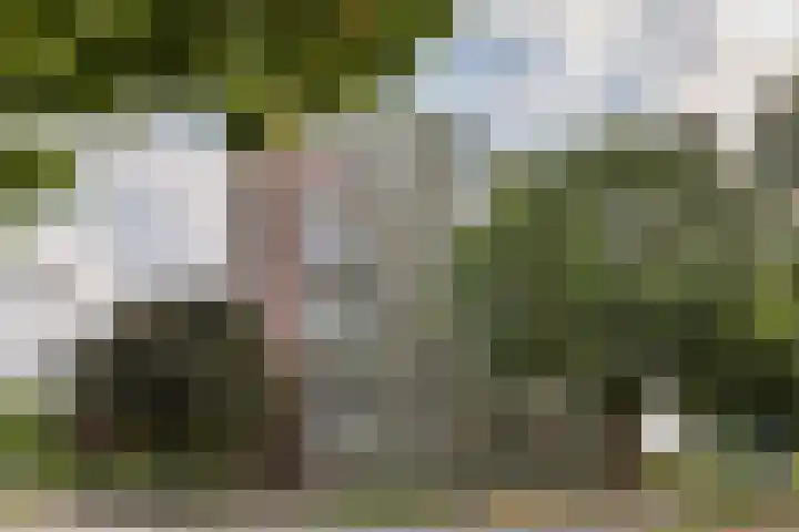 Zuiderkruis 124 Veenendaal thumbnail 30