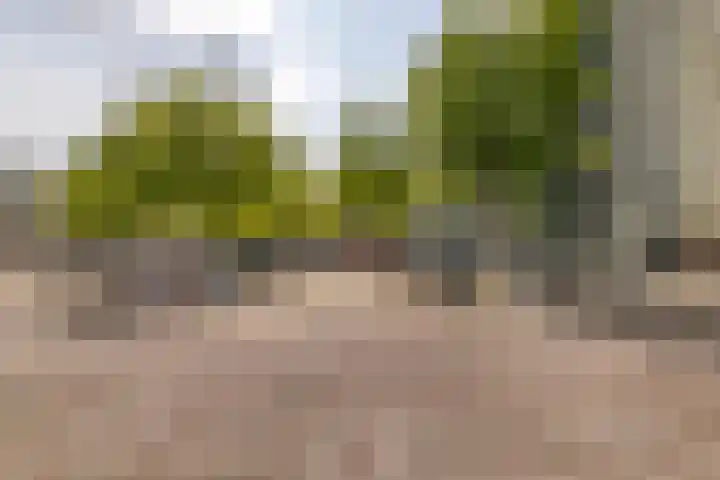 Zuiderkruis 124 Veenendaal thumbnail 31