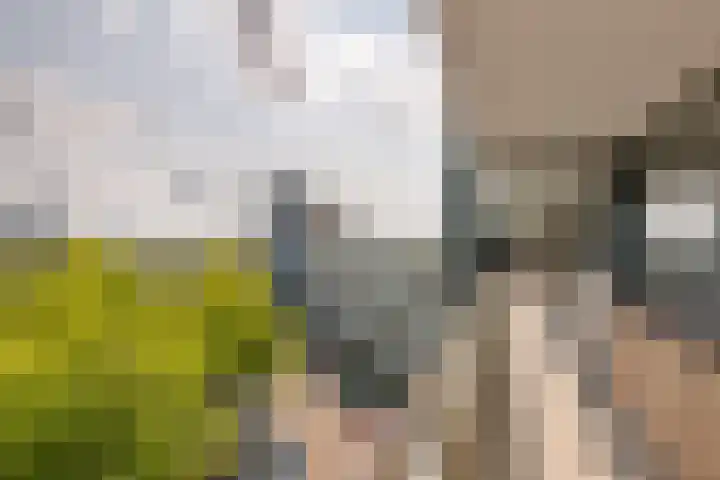 Zuiderkruis 124 Veenendaal thumbnail 36