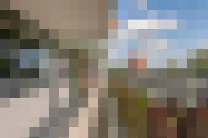 Zuiderkruis 124 Veenendaal thumbnail 37