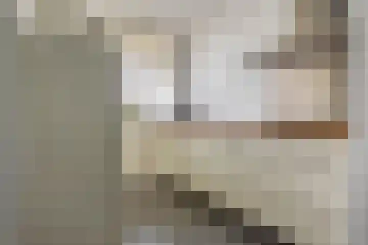 Zuiderkruis 124 Veenendaal thumbnail 6