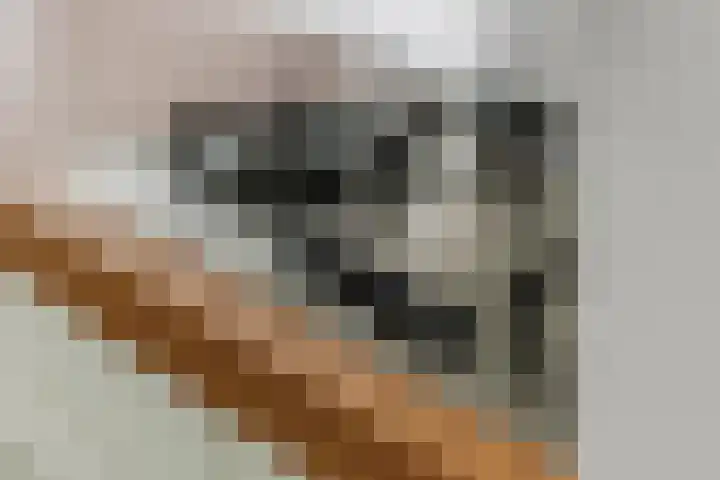 Zuiderkruis 124 Veenendaal thumbnail 7