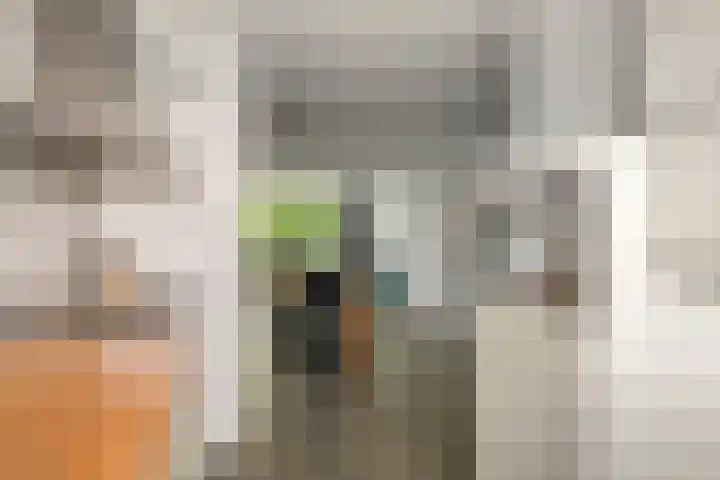 Zuiderkruis 124 Veenendaal thumbnail 8
