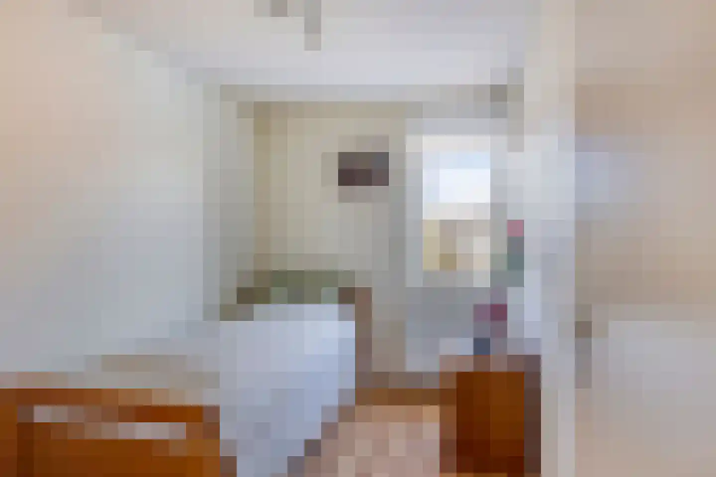 Zuiderkruis 13 Aalten thumbnail 22