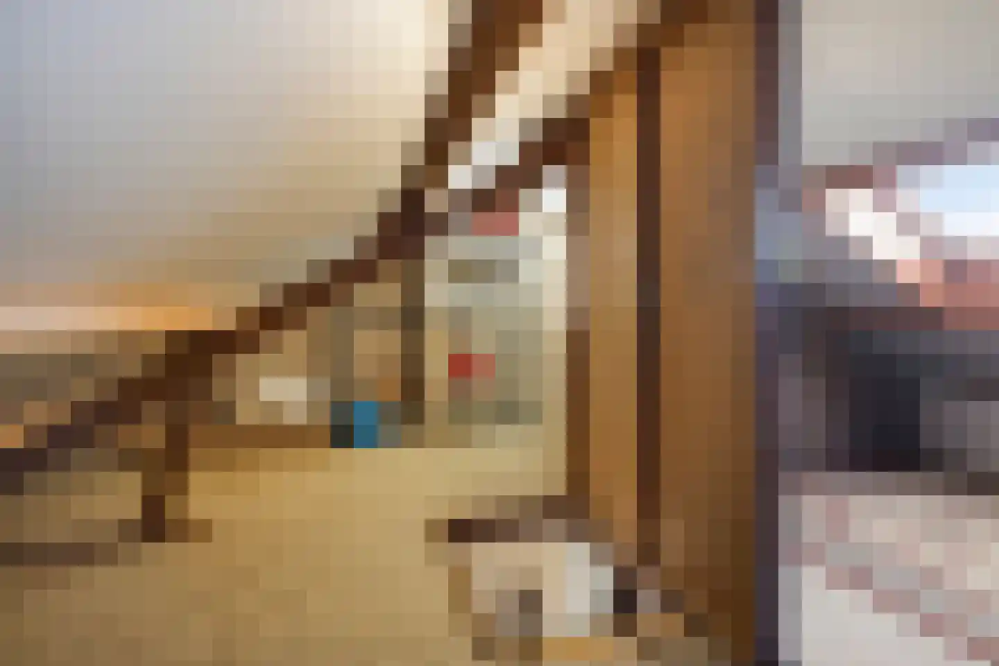 Zuiderkruis 13 Aalten thumbnail 23