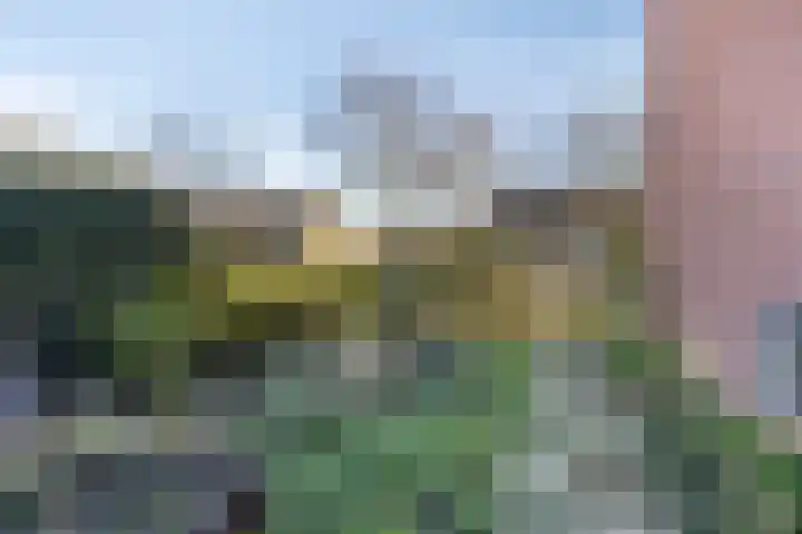 Zuiderkruis 13 Aalten thumbnail 31