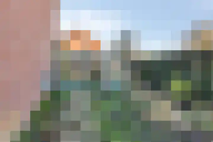 Zuiderkruis 13 Aalten thumbnail 32