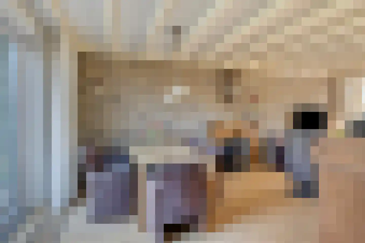 Zuiderkruis 13 Aalten thumbnail 8