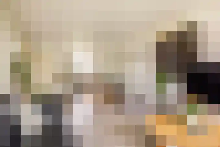 Zuiderkruis 132 Veenendaal thumbnail 10