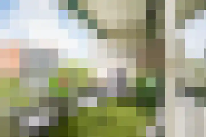 Zuiderkruis 132 Veenendaal thumbnail 12