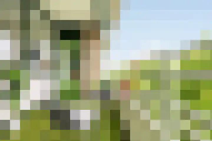 Zuiderkruis 132 Veenendaal thumbnail 13