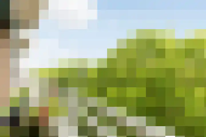 Zuiderkruis 132 Veenendaal thumbnail 14