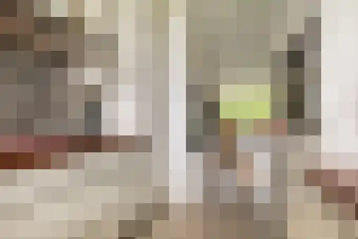 Zuiderkruis 132 Veenendaal thumbnail 17