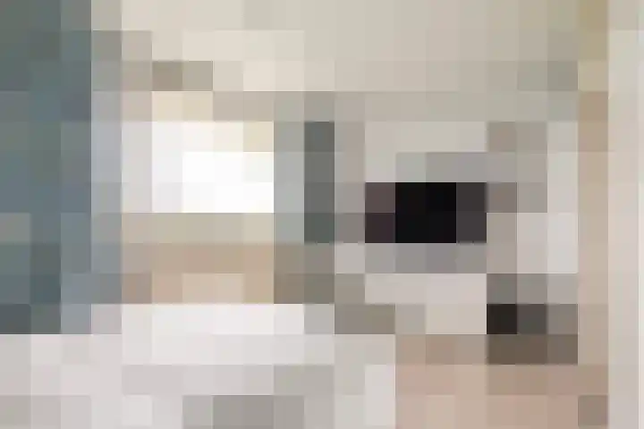 Zuiderkruis 132 Veenendaal thumbnail 21
