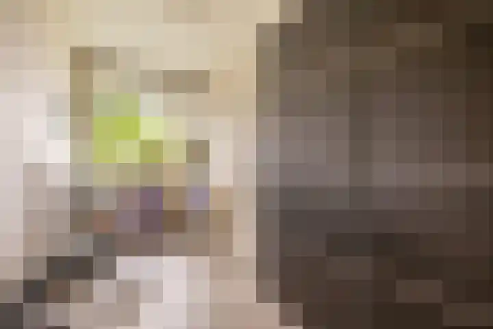 Zuiderkruis 132 Veenendaal thumbnail 24
