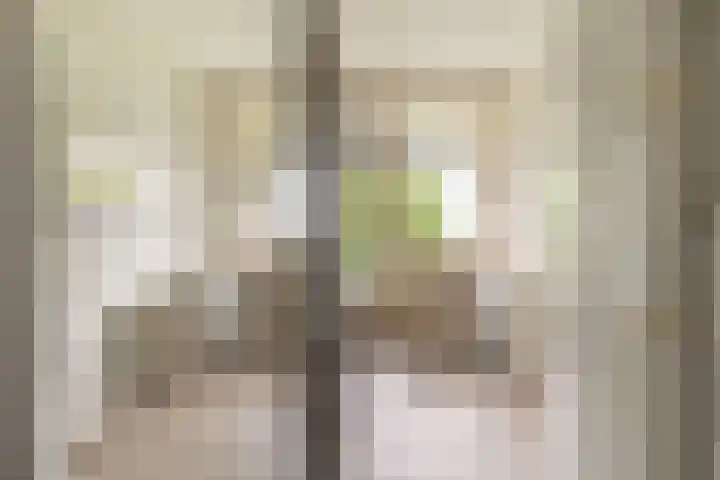 Zuiderkruis 132 Veenendaal thumbnail 26