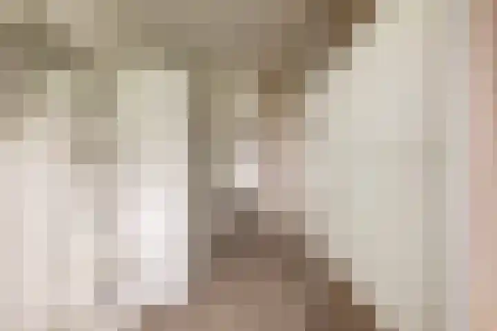 Zuiderkruis 132 Veenendaal thumbnail 27