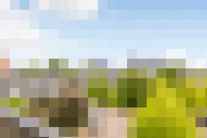Zuiderkruis 132 Veenendaal thumbnail 28