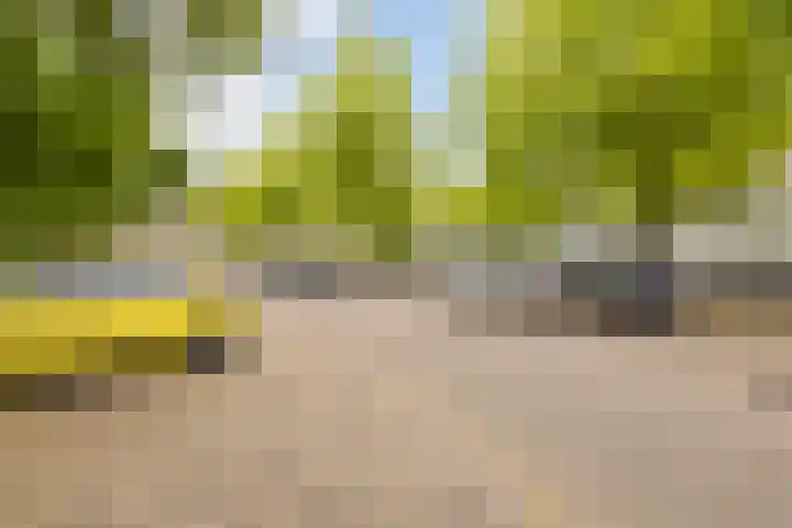 Zuiderkruis 132 Veenendaal thumbnail 29
