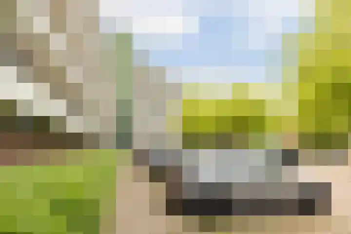 Zuiderkruis 132 Veenendaal thumbnail 31