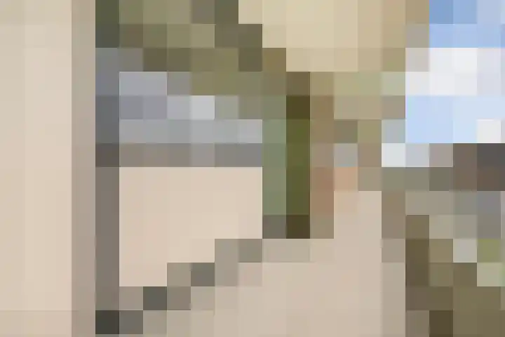 Zuiderkruis 132 Veenendaal thumbnail 6