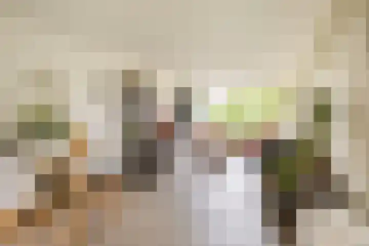 Zuiderkruis 132 Veenendaal thumbnail 8