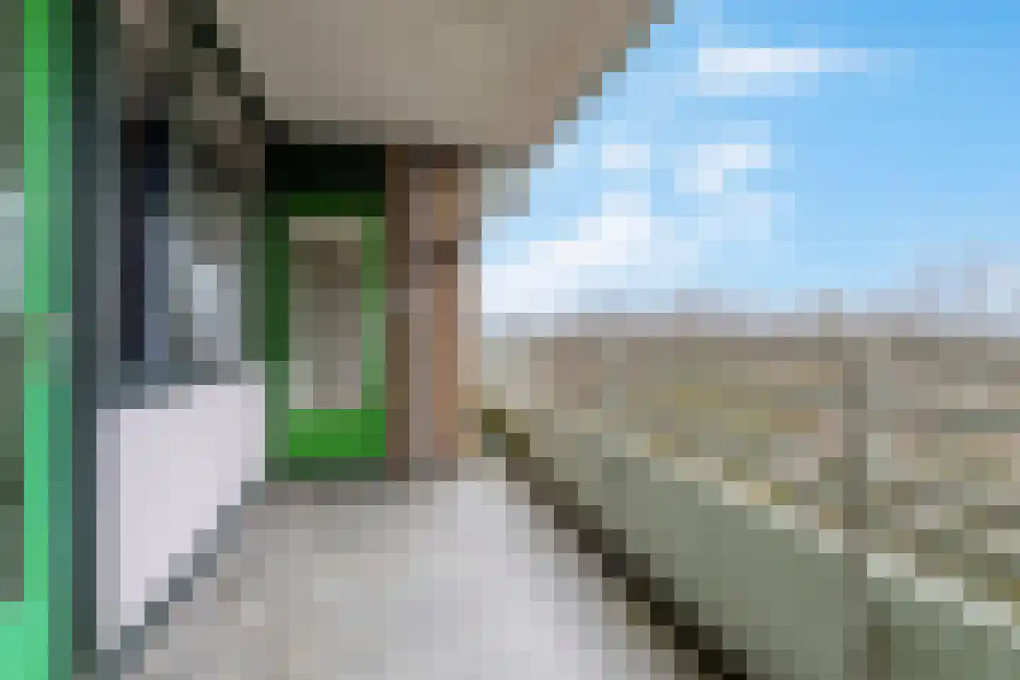 Zuiderkruis 136 Veenendaal thumbnail 10