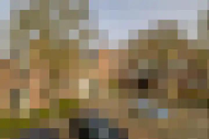 Zuiderkruis 149 in Lisse