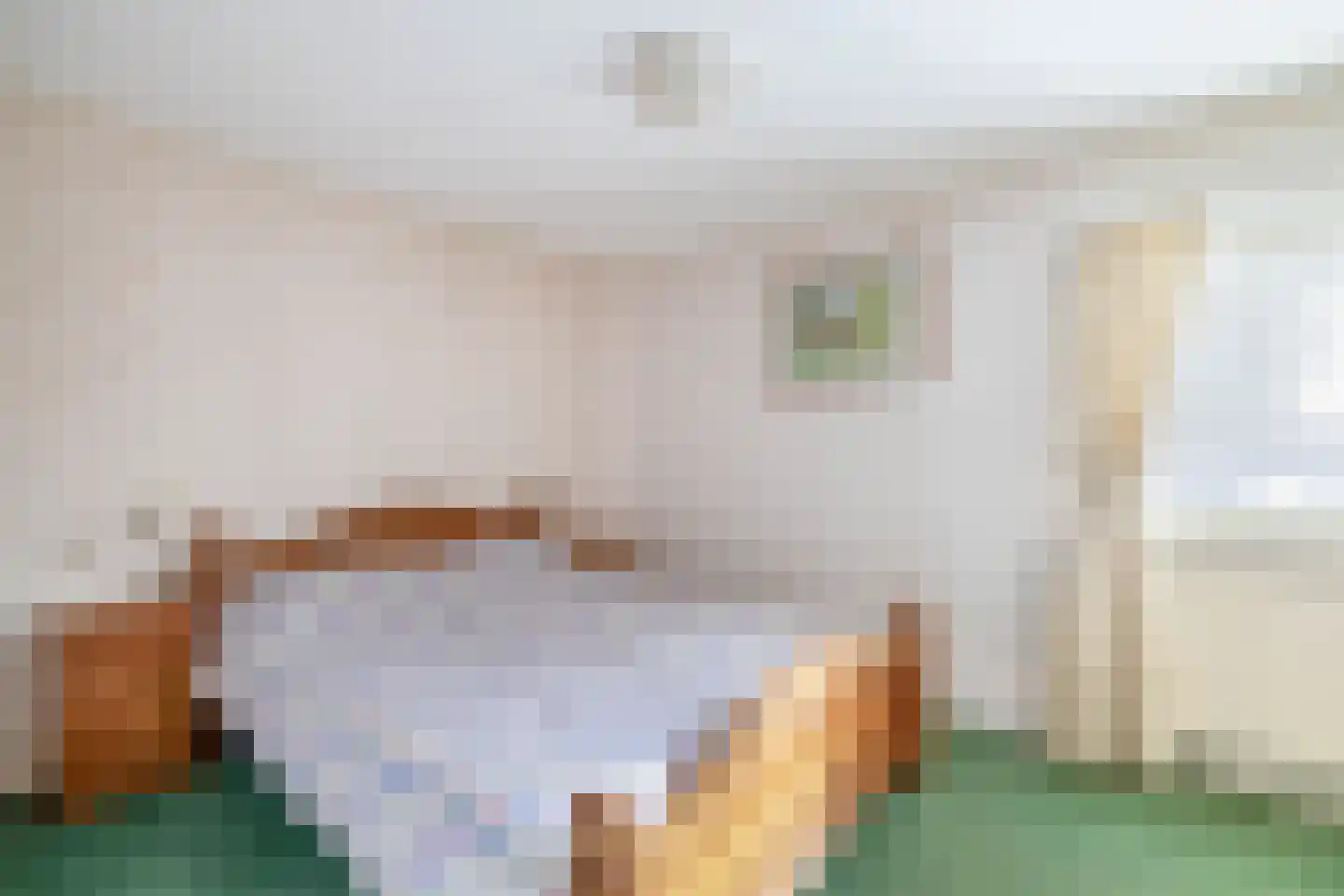 Zuiderkruis 149 Lisse thumbnail 16