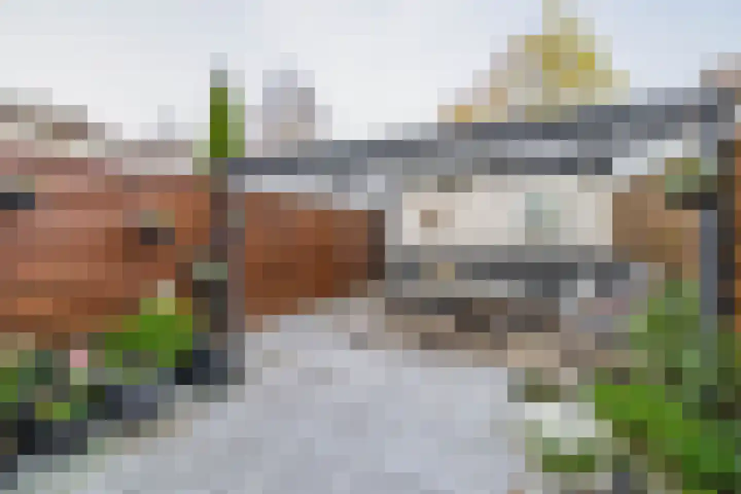 Zuiderkruis 149 Lisse thumbnail 23