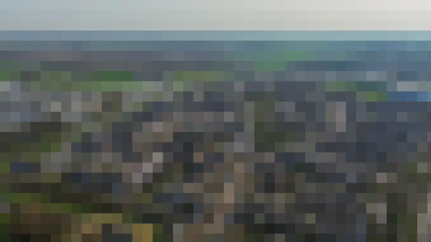 Zuiderkruis 149 Lisse thumbnail 27