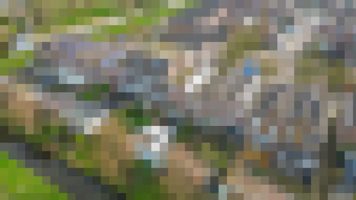 Zuiderkruis 149 Lisse thumbnail 30