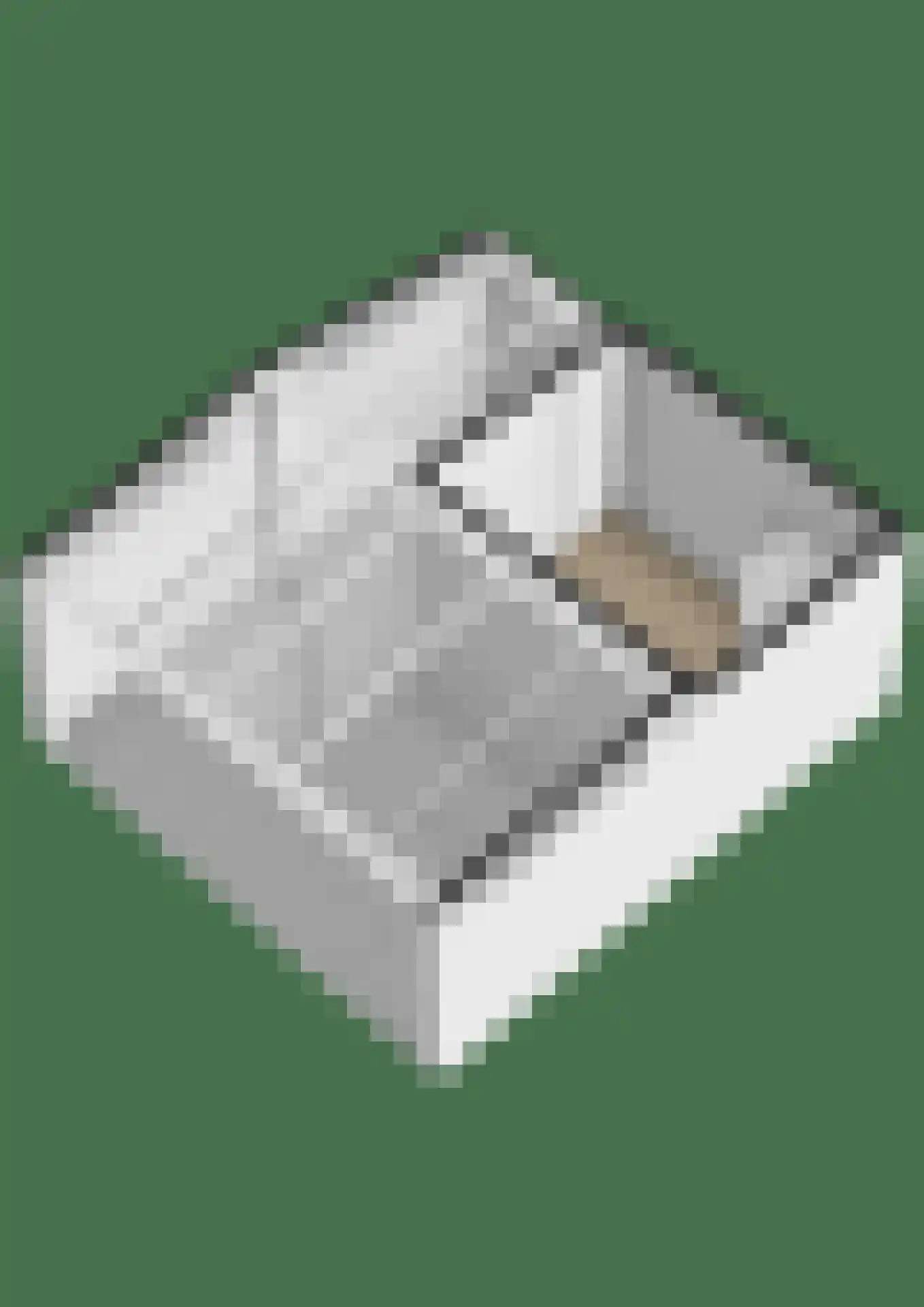 Zuiderkruis 149 Lisse thumbnail 35