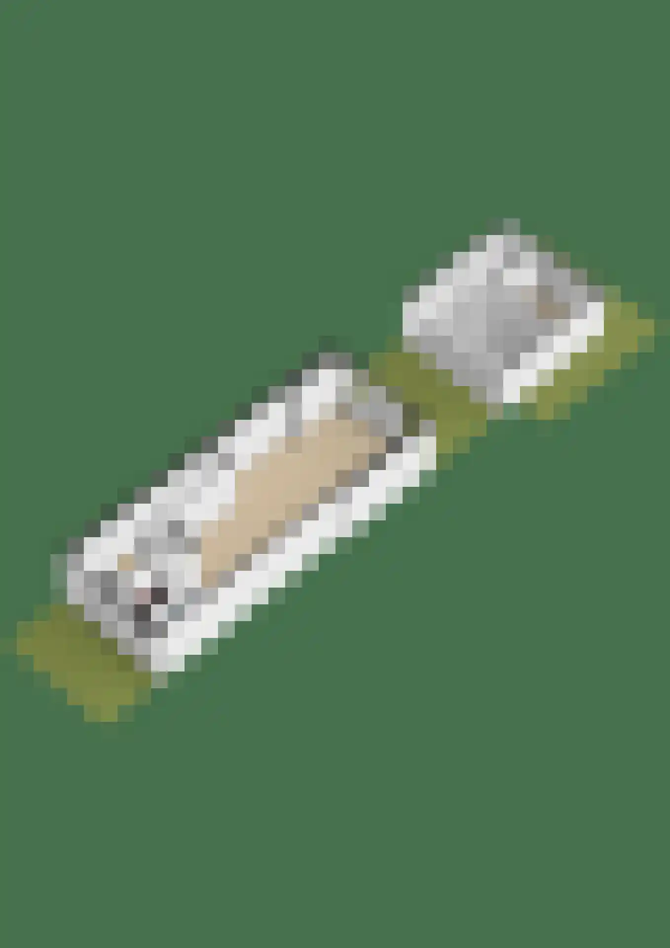 Zuiderkruis 149 Lisse thumbnail 41