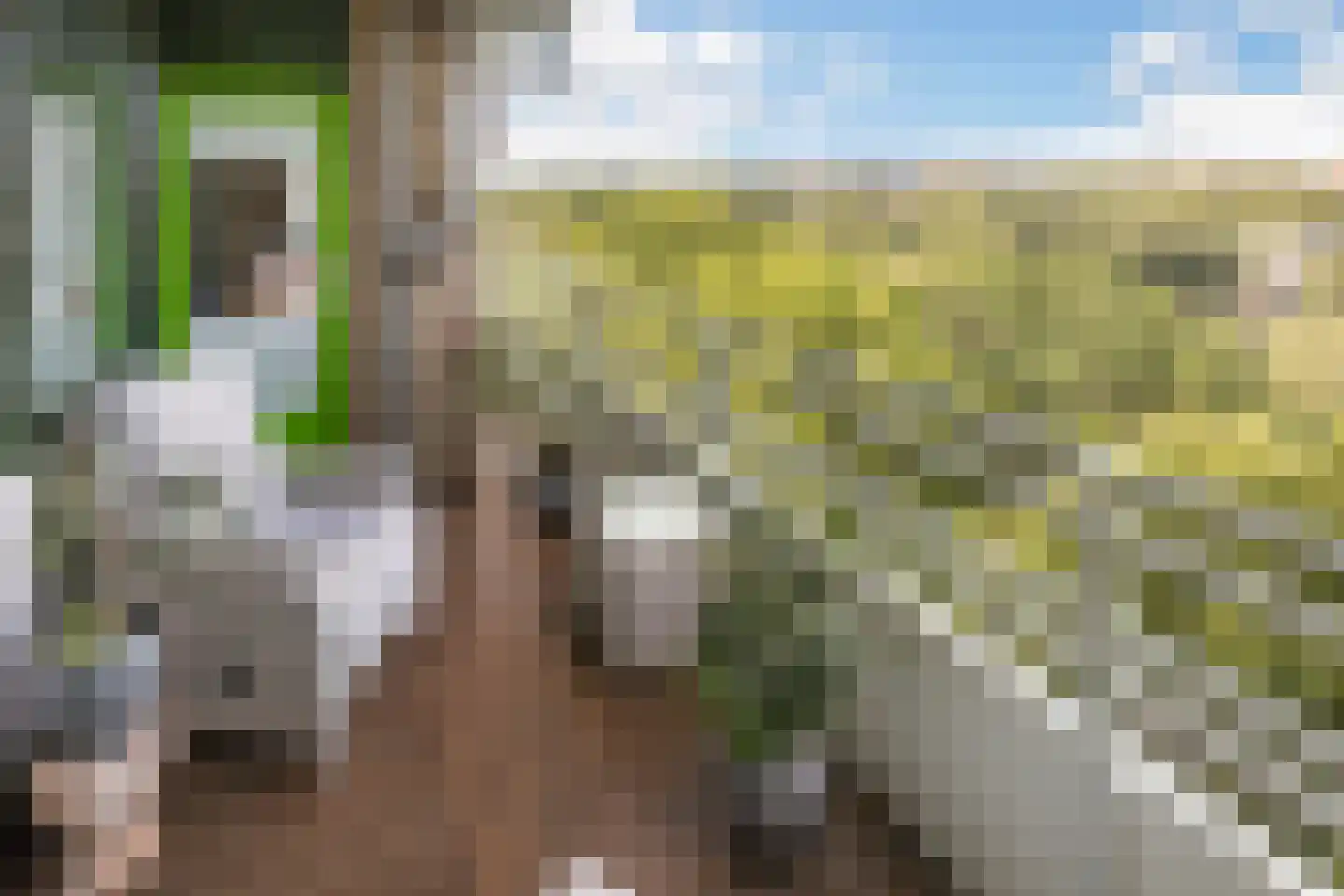 Zuiderkruis 152 Veenendaal thumbnail 23