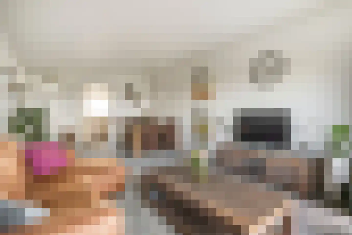 Zuiderkruis 152 Veenendaal thumbnail 5