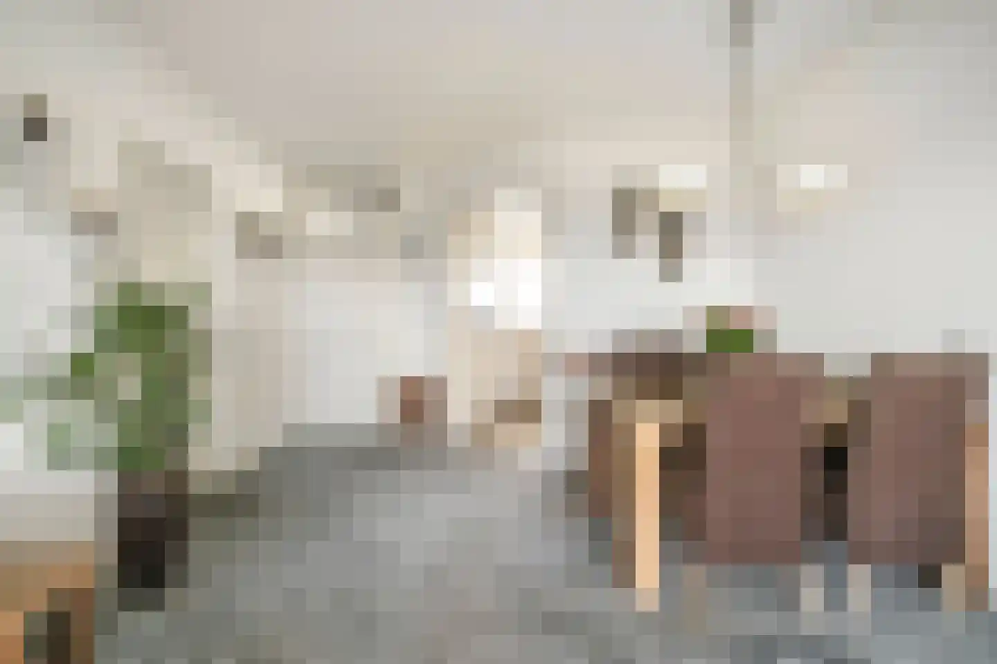 Zuiderkruis 152 Veenendaal thumbnail 8
