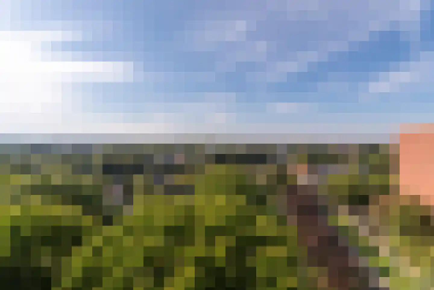 Zuiderkruis 156 Veenendaal thumbnail 19