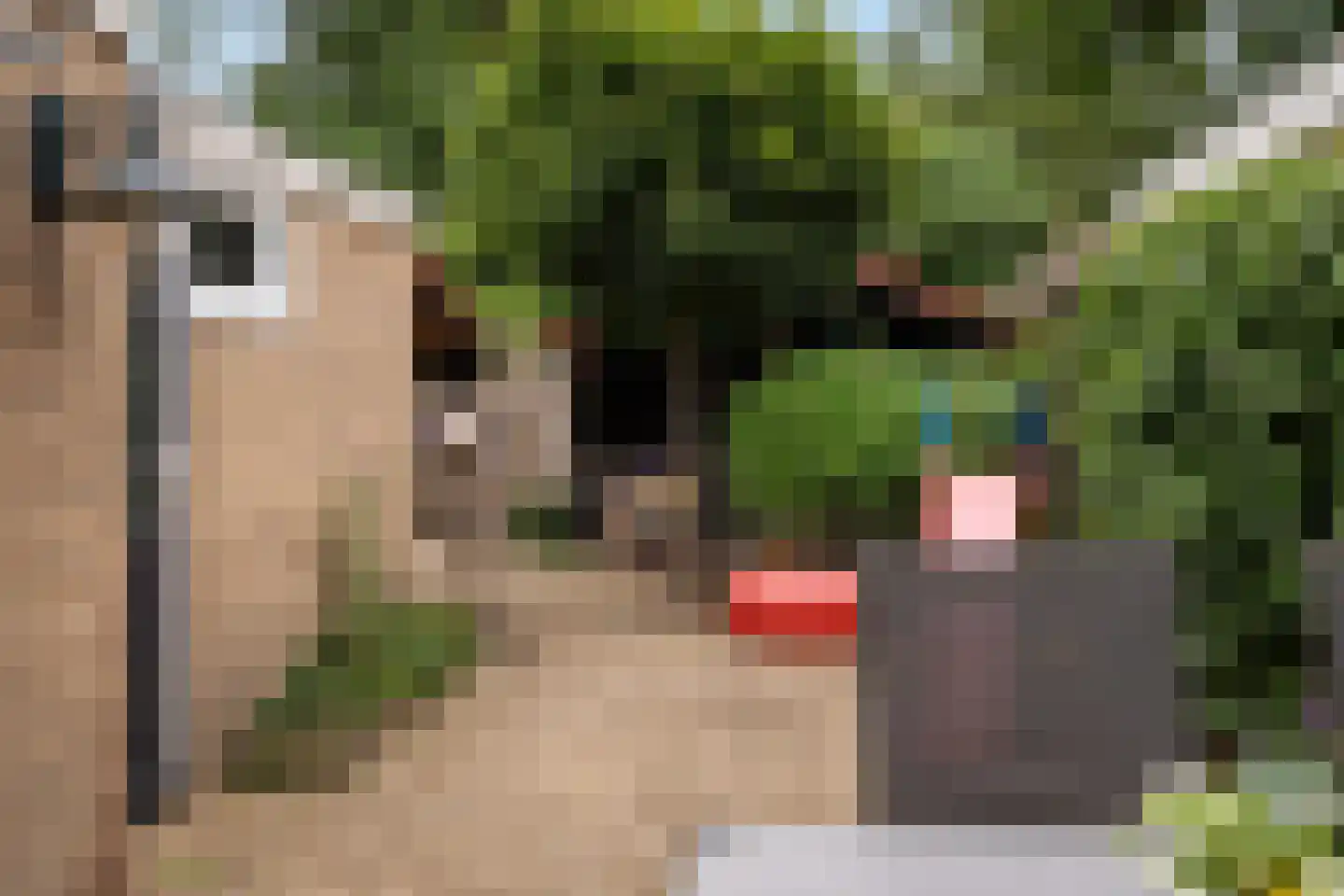 Zuiderkruis 16 Hoogeveen thumbnail 34