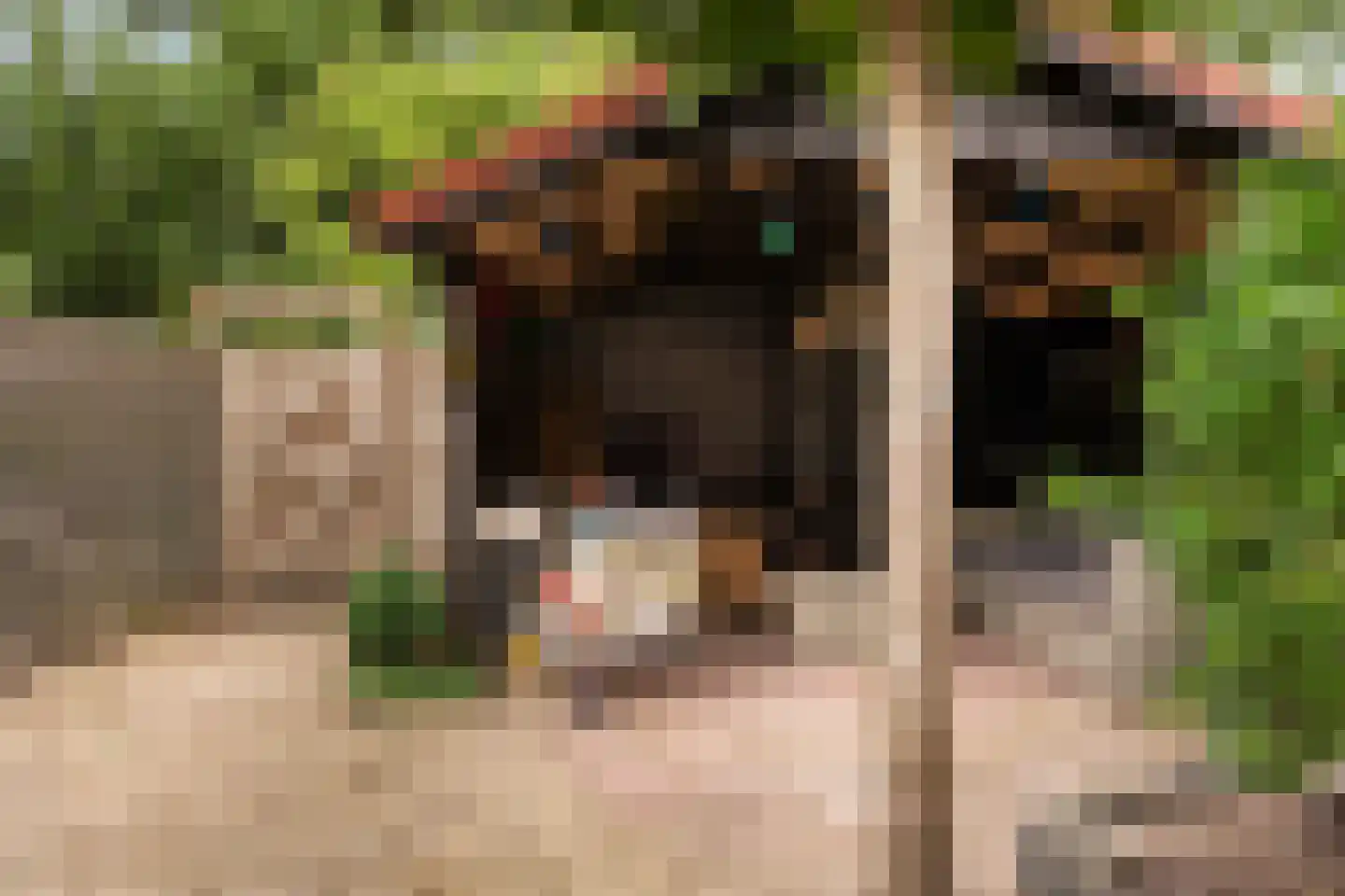 Zuiderkruis 16 Hoogeveen thumbnail 36
