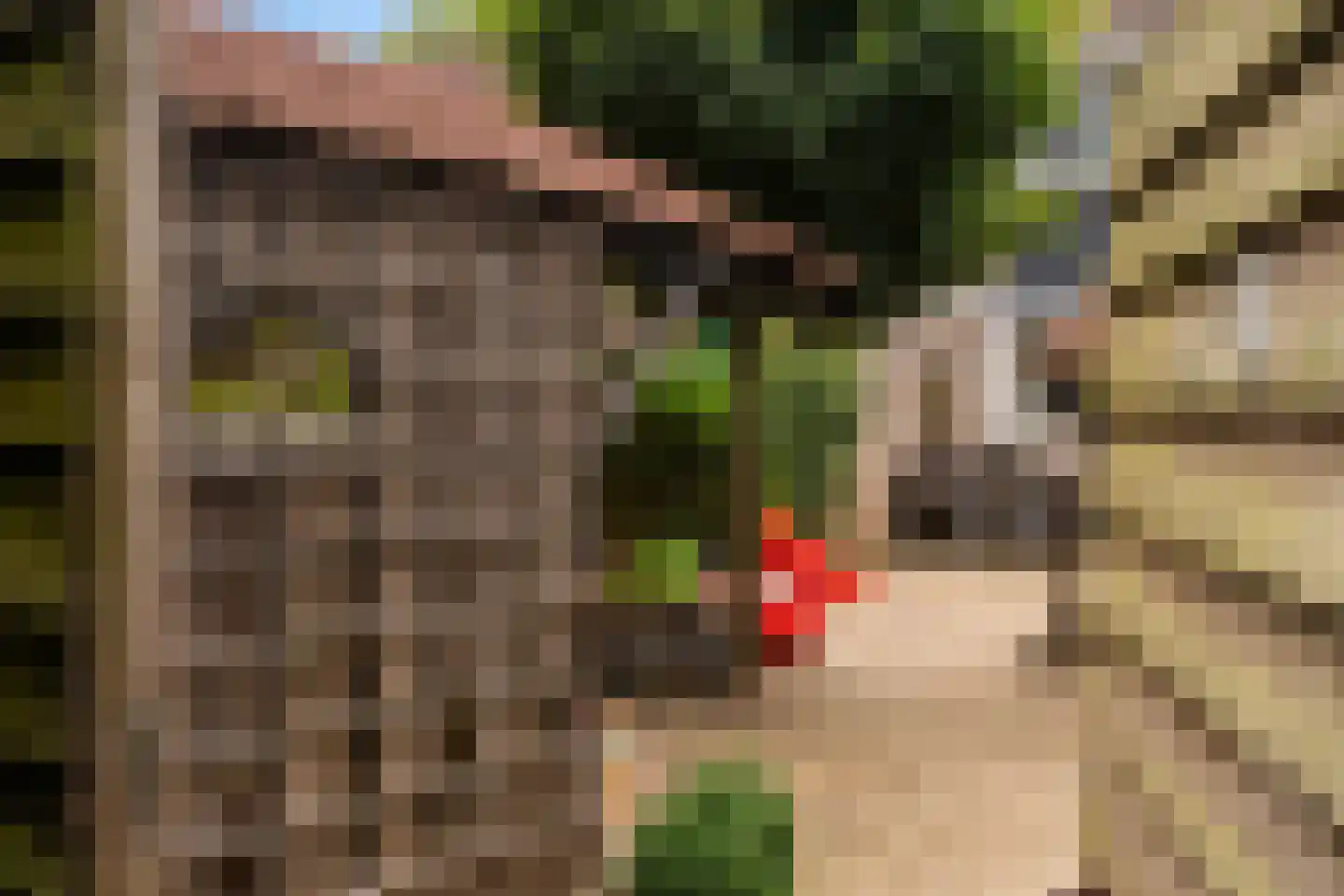 Zuiderkruis 16 Hoogeveen thumbnail 39