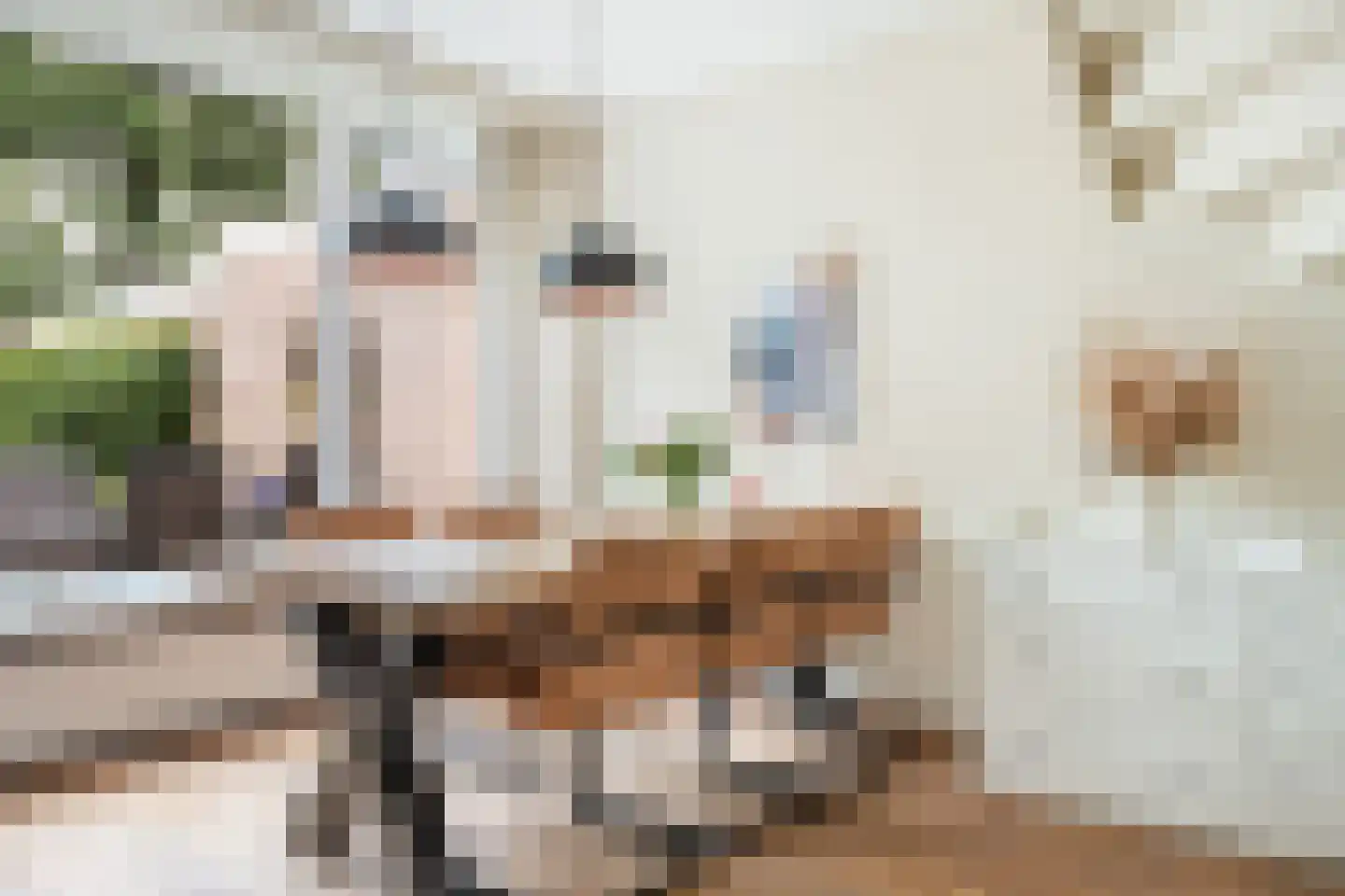 Zuiderkruis 16 Hoogeveen thumbnail 4
